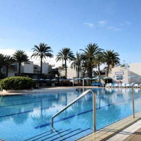 Ideal Holiday Apartment In The South Of Tenerife Costa Del Silencio Exteriör bild