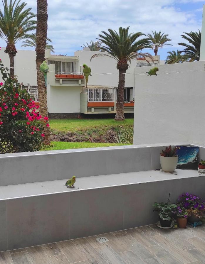 Ideal Holiday Apartment In The South Of Tenerife Costa Del Silencio Exteriör bild
